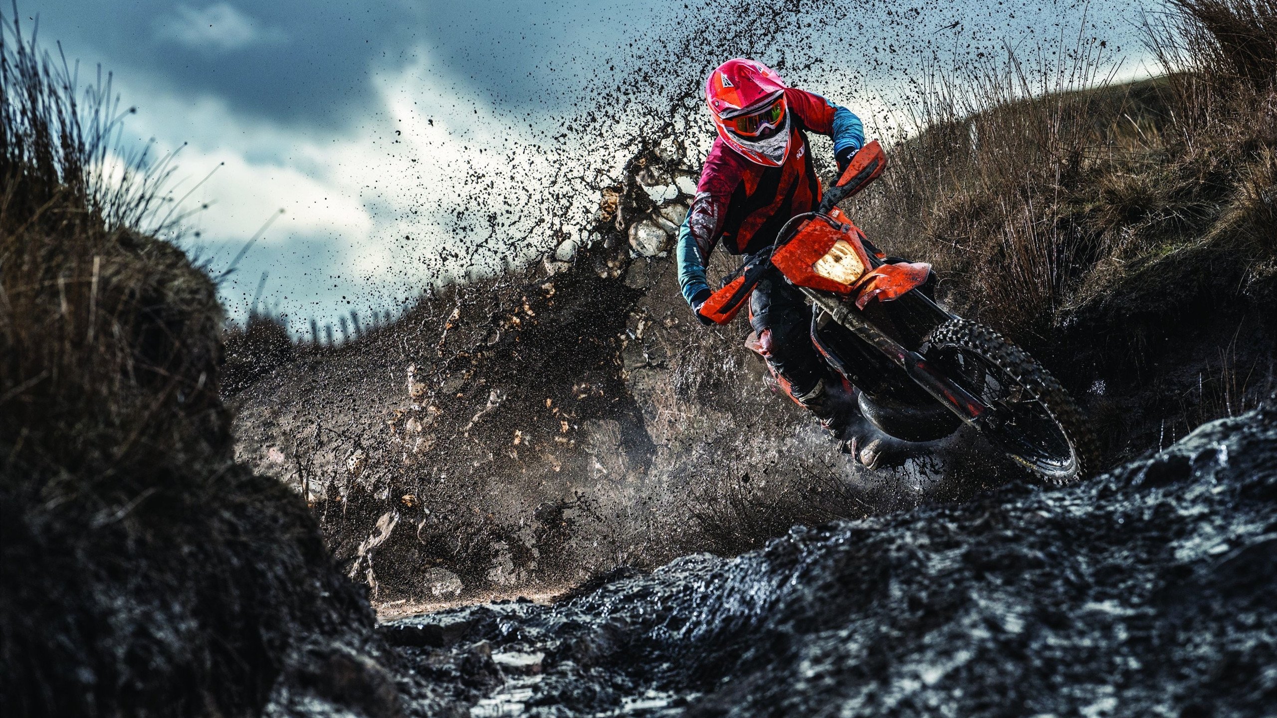 篮网狂胜太阳，一场定义赛季格局的焦点之战